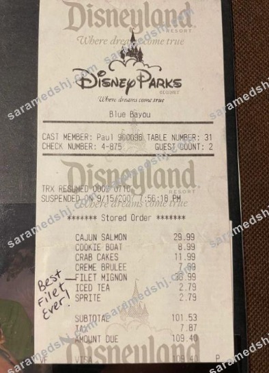 Disneyland park payment check